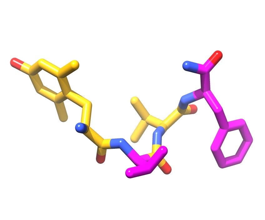 The molecular structure of the Bilorphin tetrapeptide that depict the unique orientation of alternating ‘left handed’ and ‘right handed’ amino acids. L-aminoacids (yellow) and D-aminoacids (magenta)