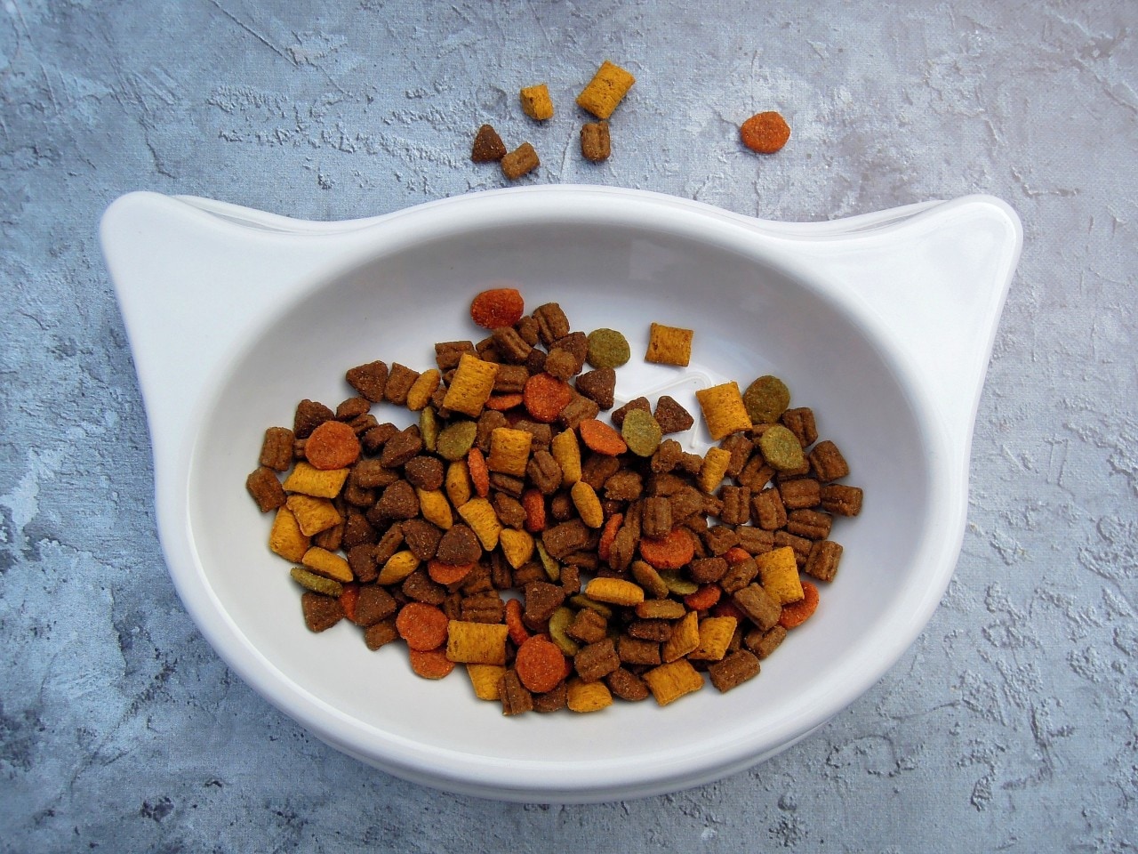 photo of cat food in a bowl