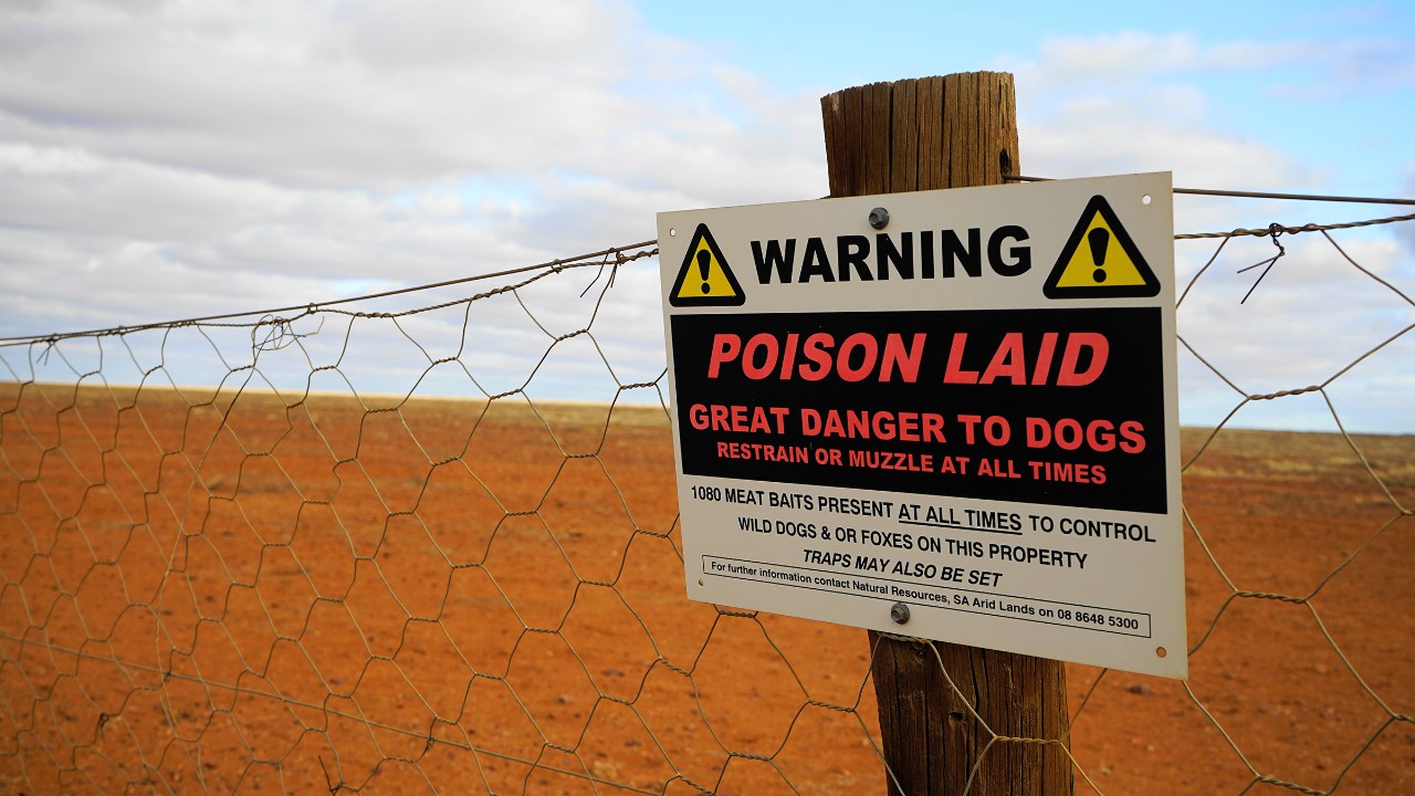 Photo of a sign in the desert showing poison is here 