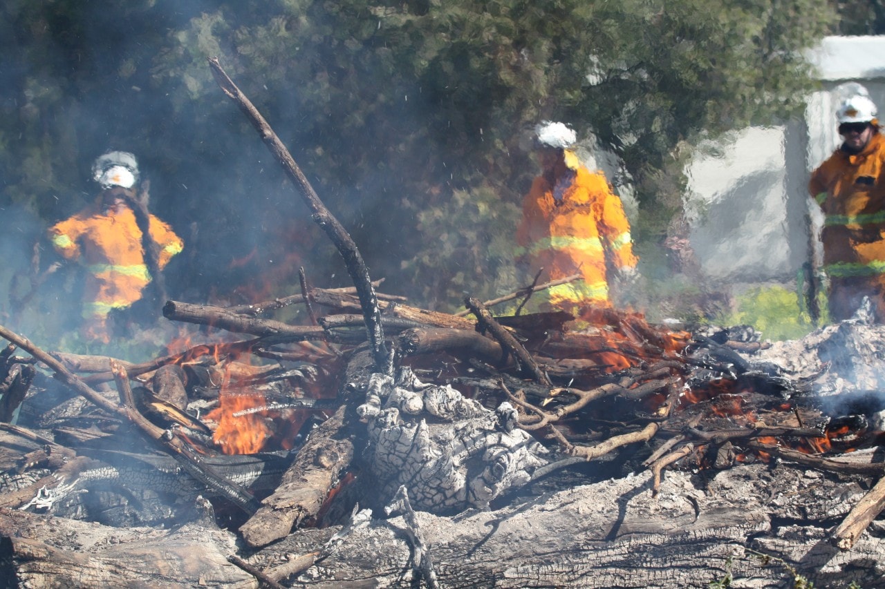 photo of volunteer firefighters from the Country Fire Service in South Australia obscured by the rising heat in a training exercise