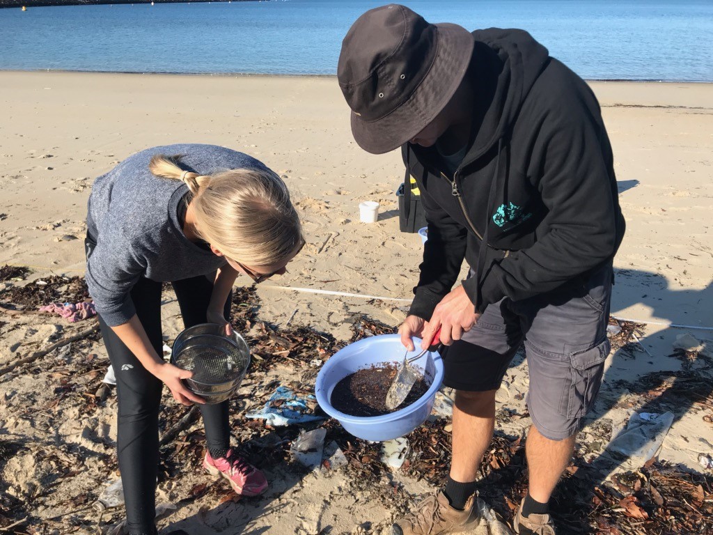 Scientists look at plastic pollution on beach