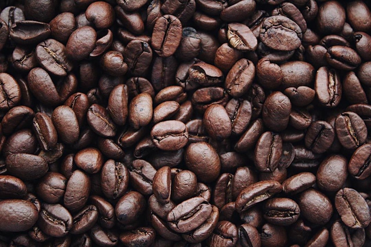 photo of coffee beans