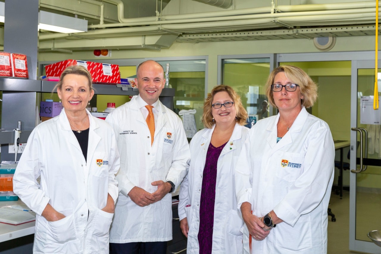 Announcing the grant in February are (from left): Federal Minister Sussan Ley, NSW Minister Matt Kean, Professor Kathy Belov and Dr Carolyn Hogg. 
