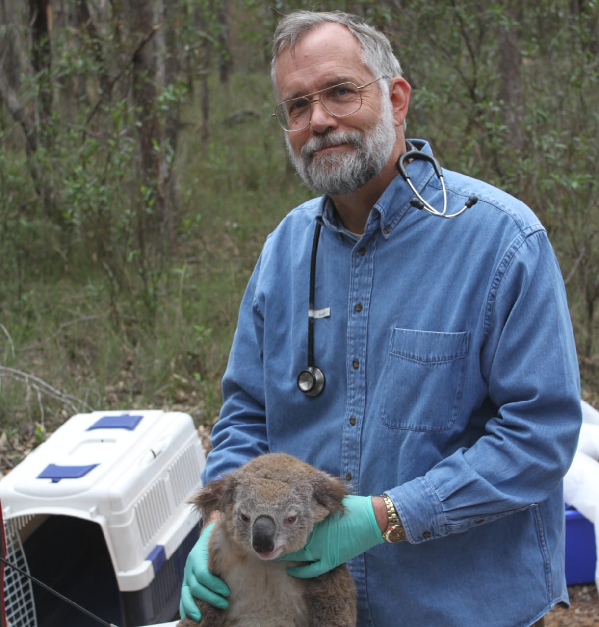 Professor David Phalen with a koala.