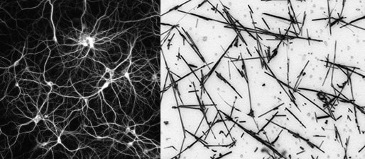 Conceptual image of a neural network (left) next to an image of a nanowire network.