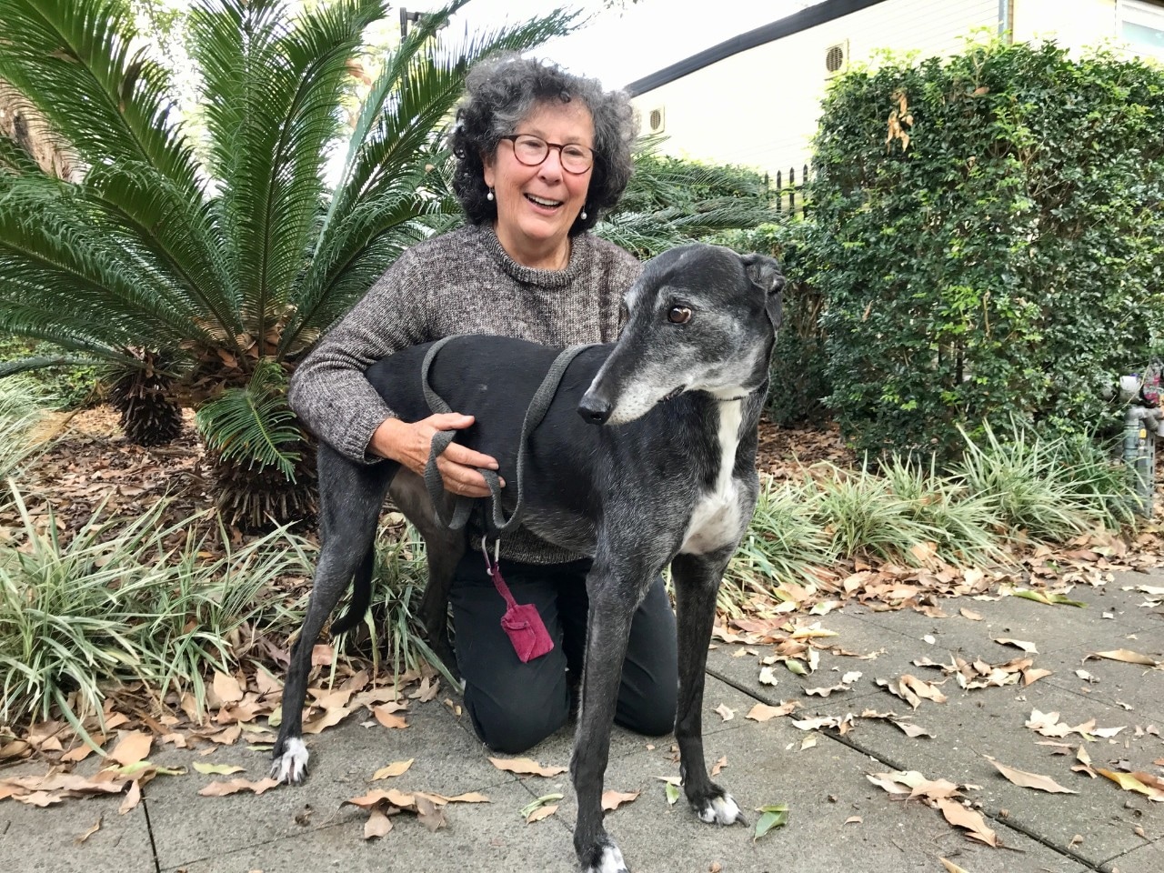 Jennifer Weissel and her greyhound, Kelly.