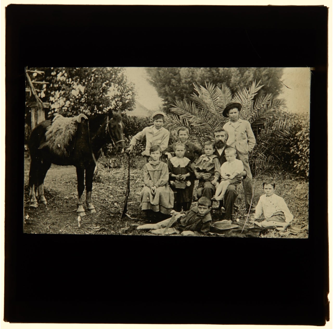 A black-and-white photograph of children and a horse
