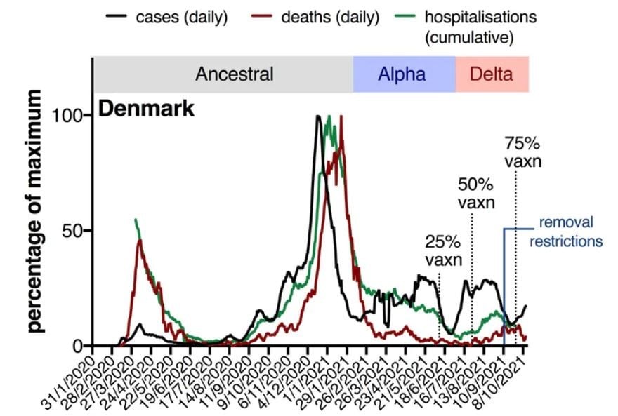 You can see the black line (cases) starts to separate from the green line (hospitalisations) and the red line (deaths) as the vaccine rollout progresses. Data from ourworldindata.org/covid-vaccinations and covidlive.com.au, Author provided