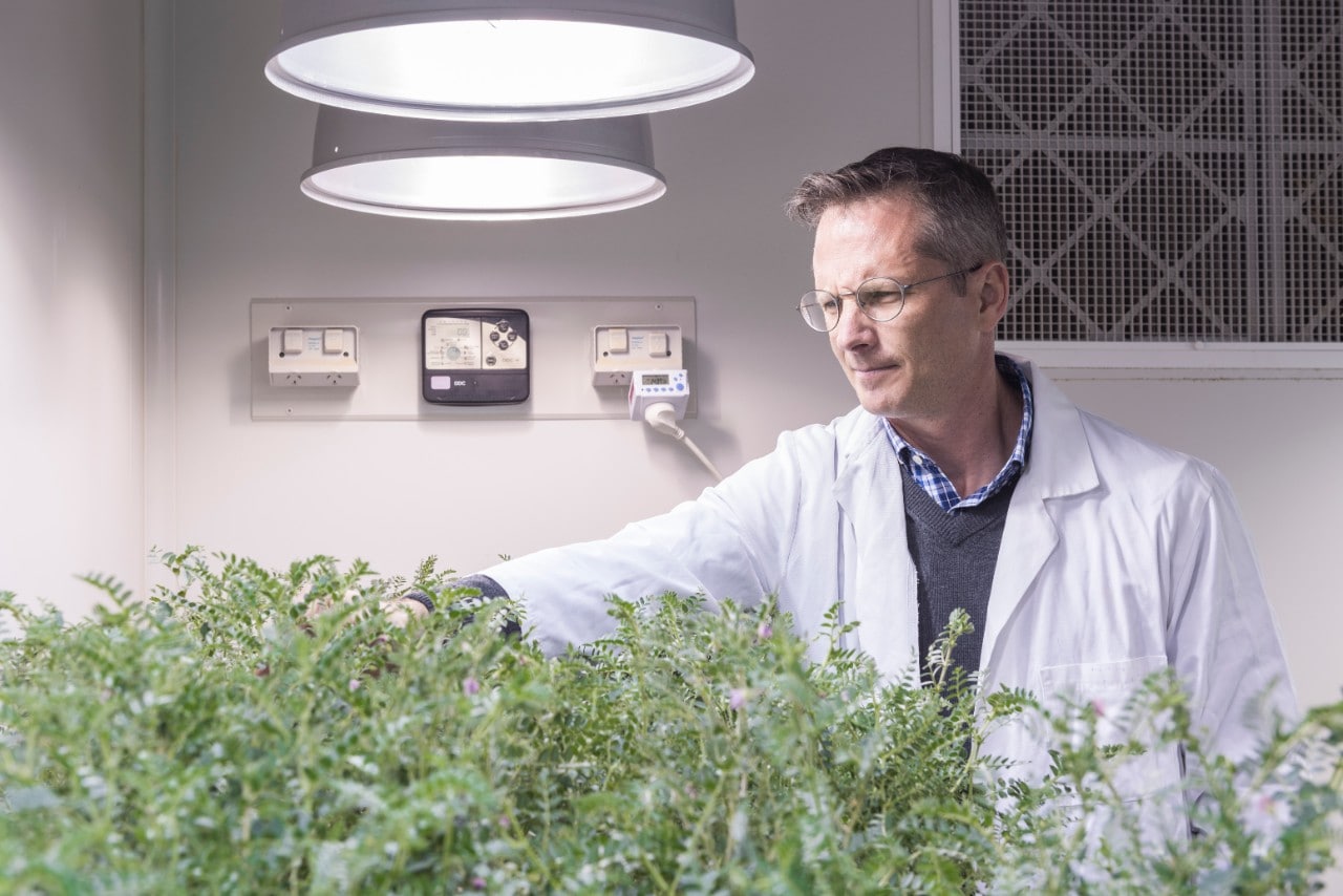 Professor Brent Kaiser in protective goggles, attending to hydroponic plants
