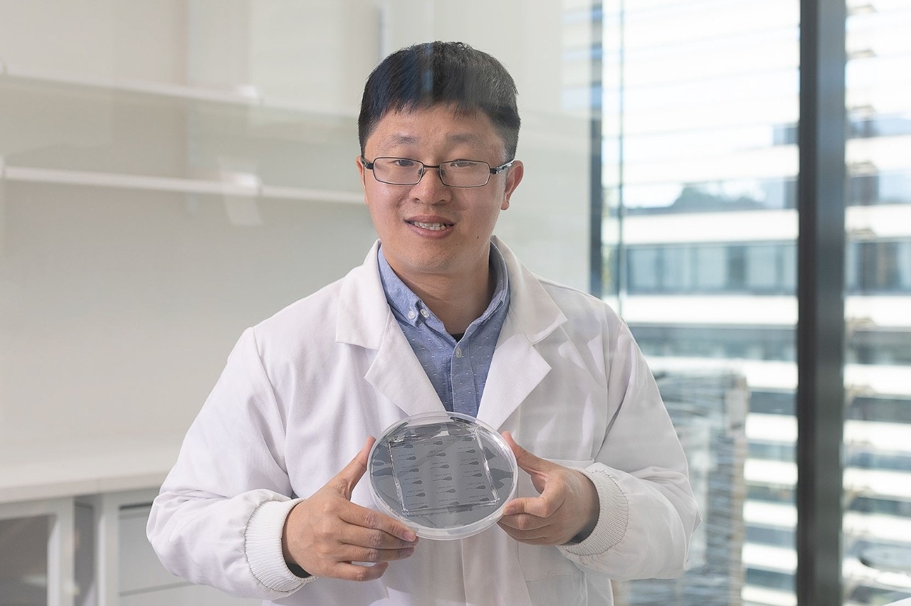 Dr Arnold Ju holding a petri dish