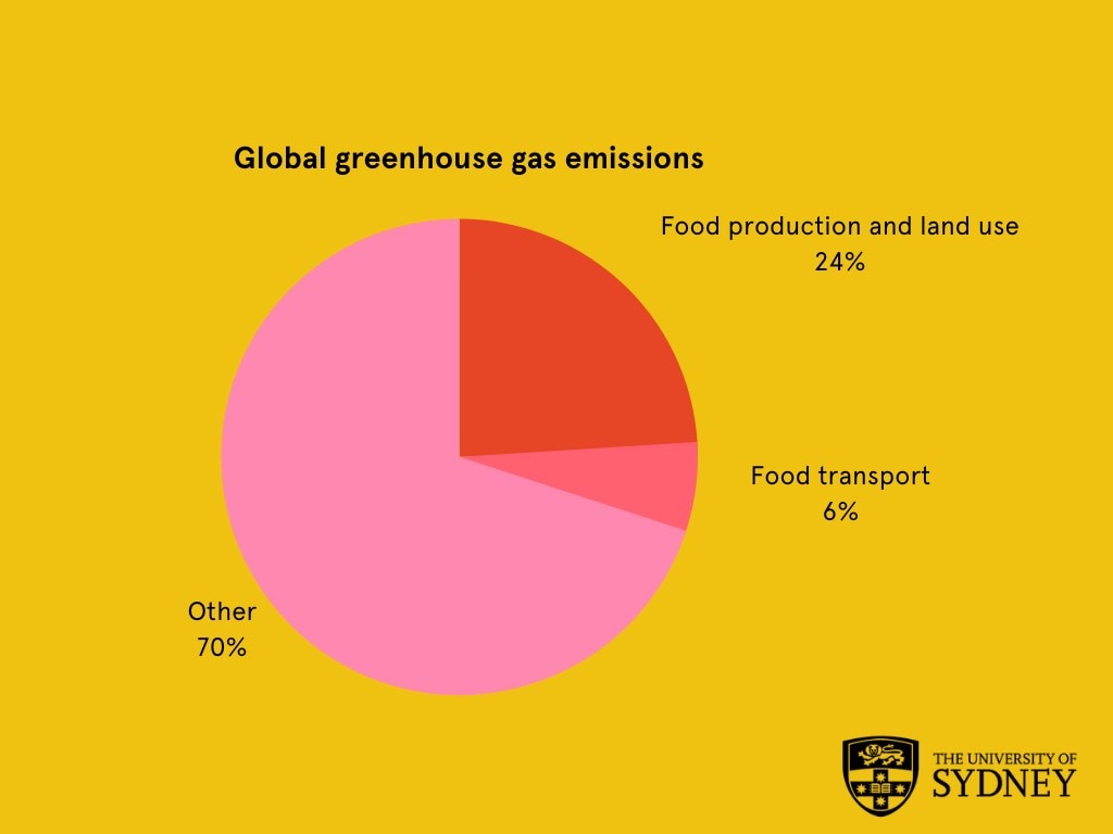 Pie chart showing food emissions as a fraction of overall emissions