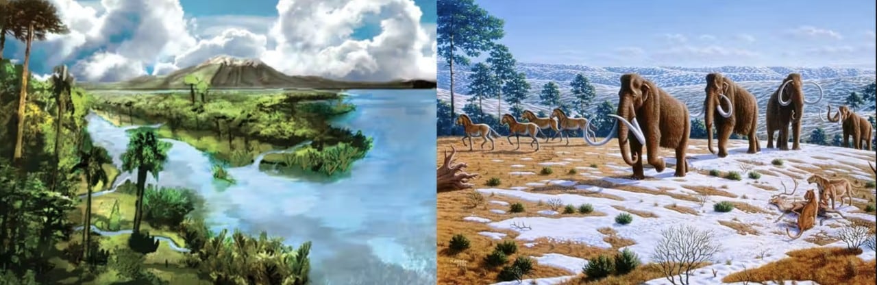 The Earth evolved from a hothouse climate in the Cretaceous Period (left) to an icehouse climate in the following Cenozoic Era (right), leading to inland ice sheets. 
