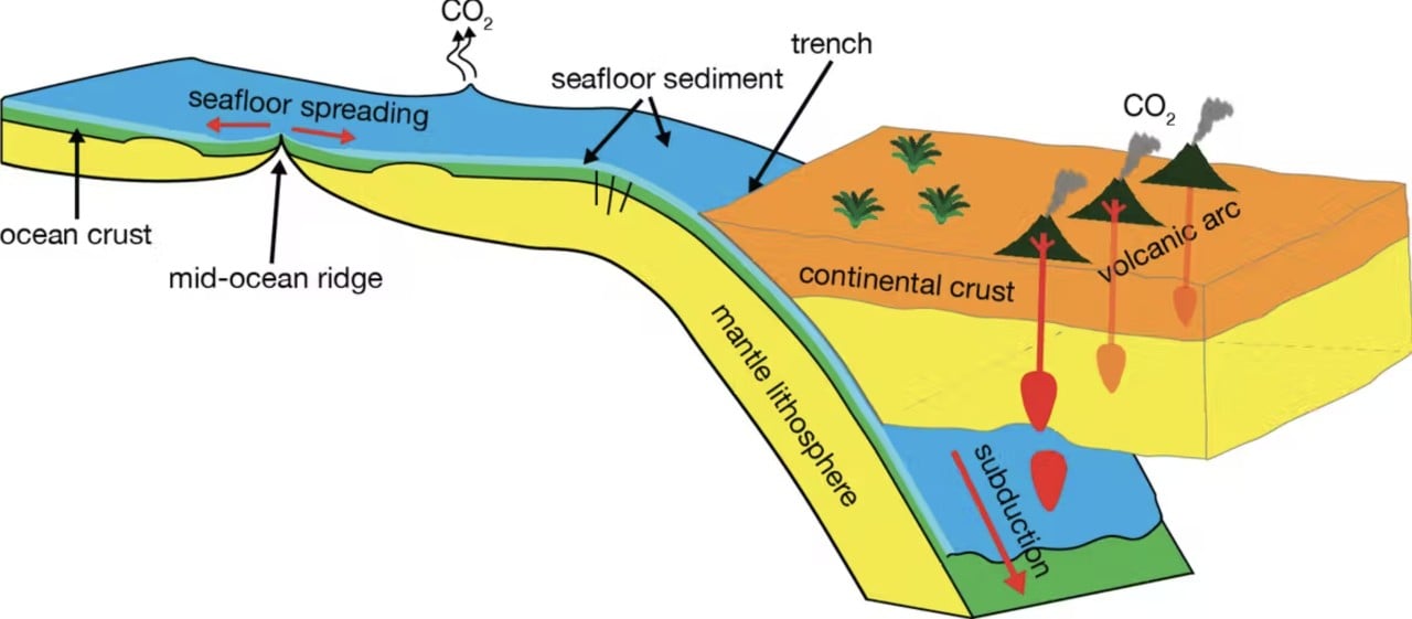 The Earth’s tectonic carbon conveyor belt shifts massive amounts of carbon between the deep Earth and the surface, from mid-ocean ridges to subduction zones, where oceanic plates carrying deep-sea sediments are recycled back into the Earth’s interior. The processes involved play a pivotal role in Earth’s climate and habitability. Author provided