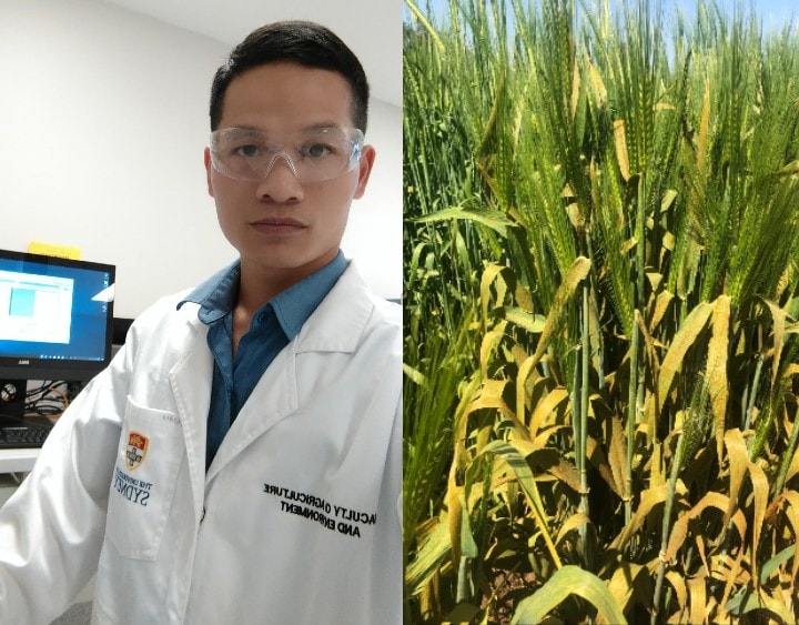 Former PhD scholarship student Hoan Dinh and barley rust.