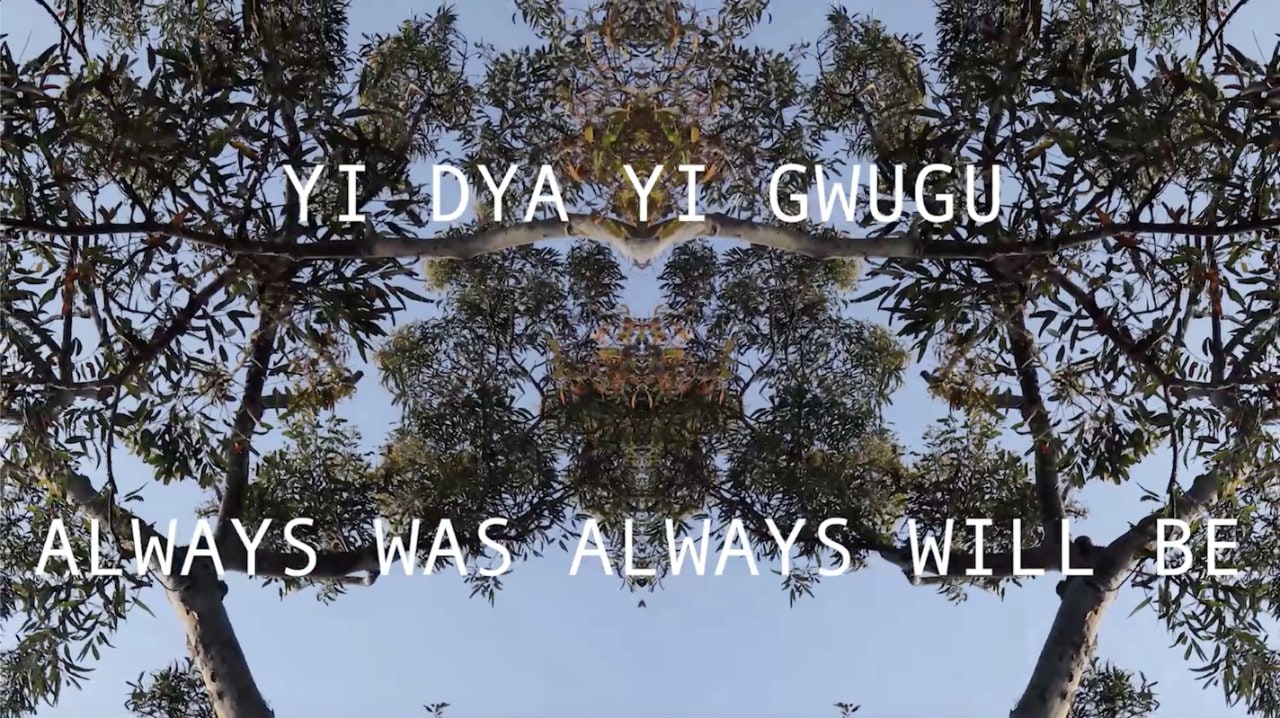 An image of gum tree branches against a blue sky. There are words over the image in white text, reading, "Yi dya yi gwgu: Always was always will be". 
