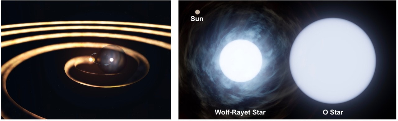 On the left an illustration of the WR140 binary with concentric dust rings and on the right relative size of the Wolf-Rayet star