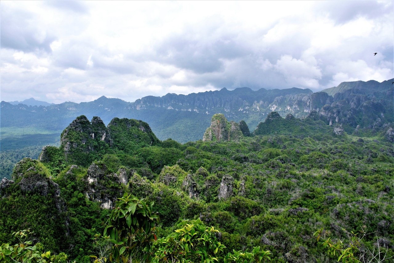 The rugged, limestone karst area of East Kalimantan, Indonesian Borneo. 