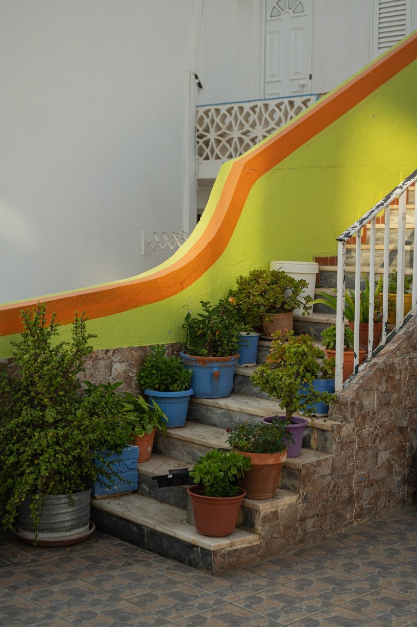 Potplants line the sides of a brightly coloured outdoor staircase