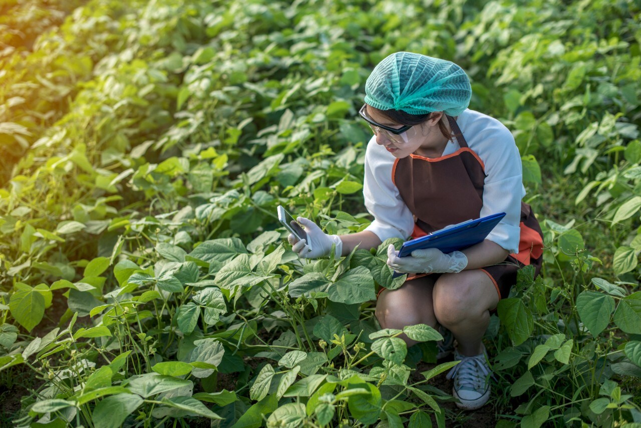 A woman researching in a feild 