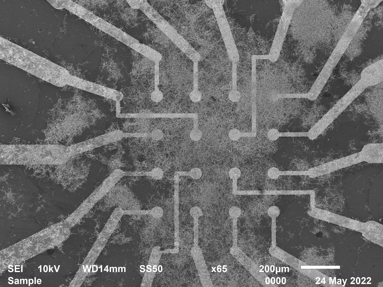 Electrodes interact with the nanowire neural network at the heart of the chip.
