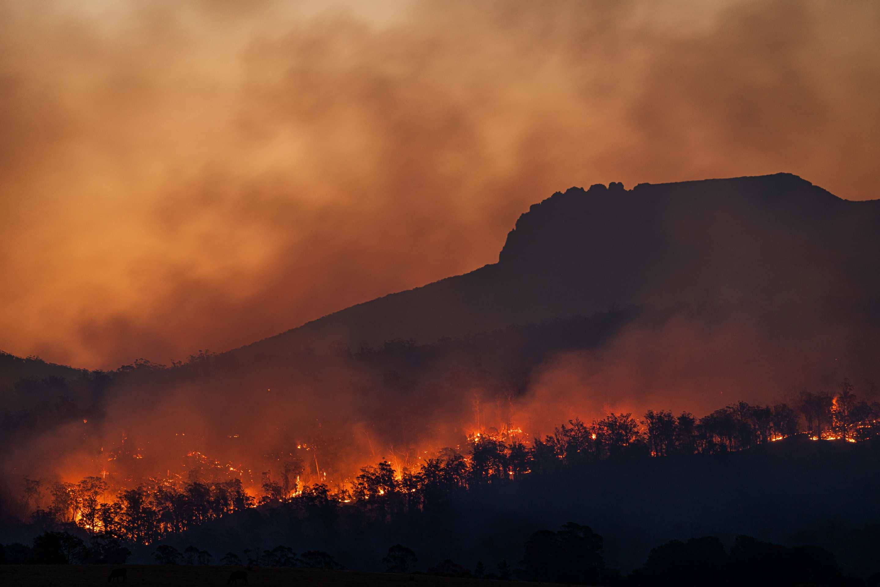 Bushfires in Tasmania