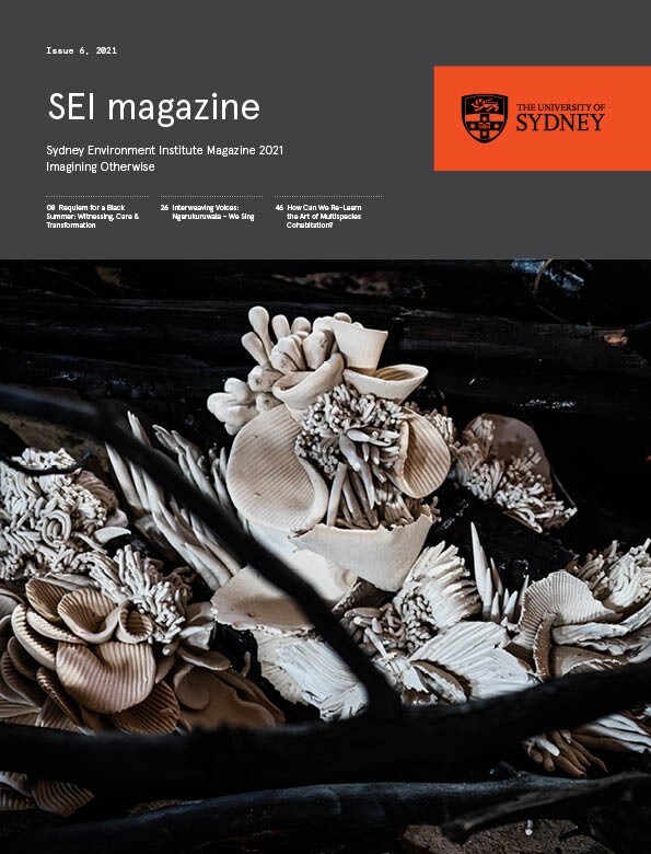 Cover image SEI magazine (photo of shells)