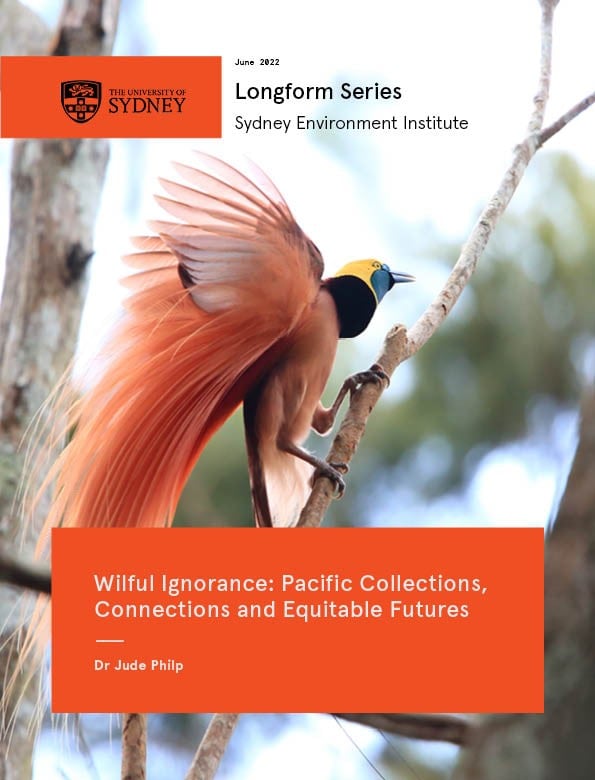 Cover image of longform essay featuring tropical bird