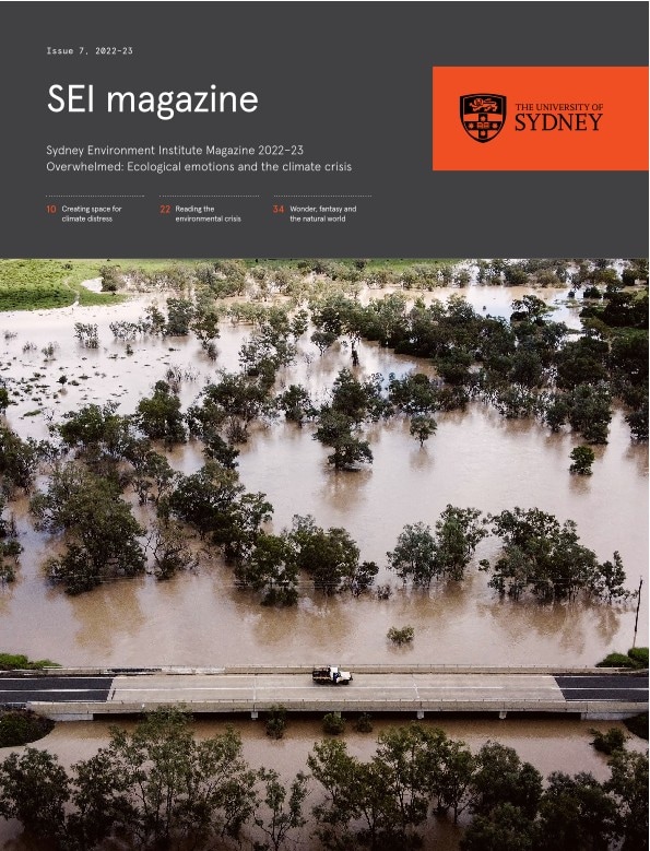 Cover image SEI magazine (photo of floods)