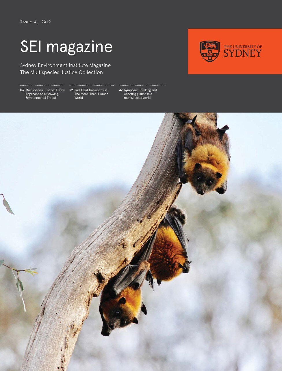 Cover image SEI magazine (photo of fruit bats)
