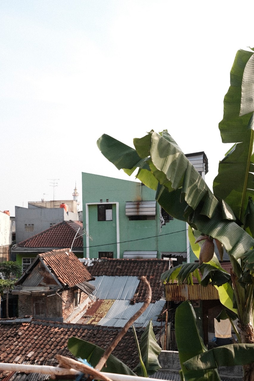Exterior shot of a banana tree and rooftops in Bandung, Indonesia