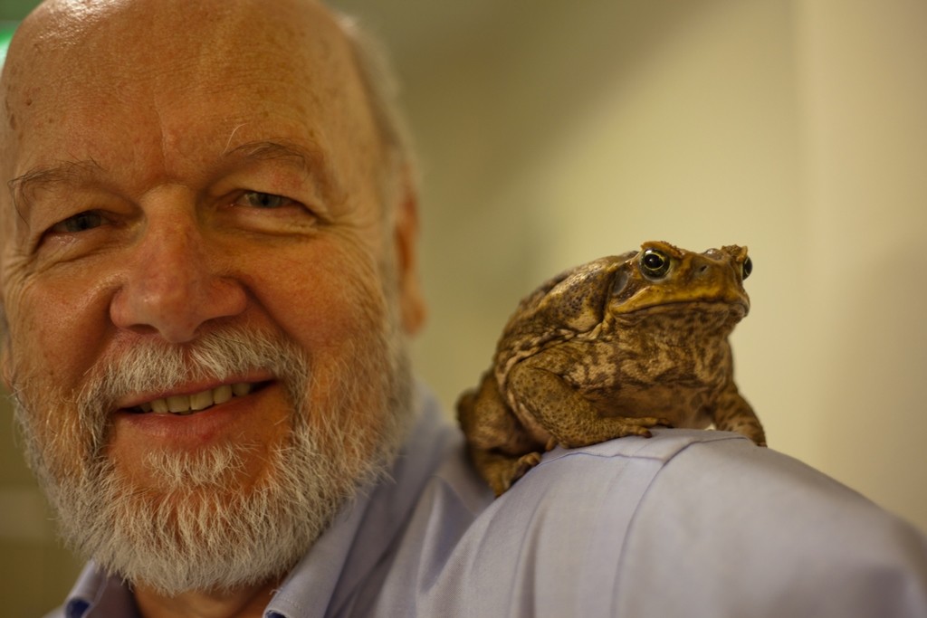 Emeritus Professor Rick Shine with his cane toad, Galadriel.