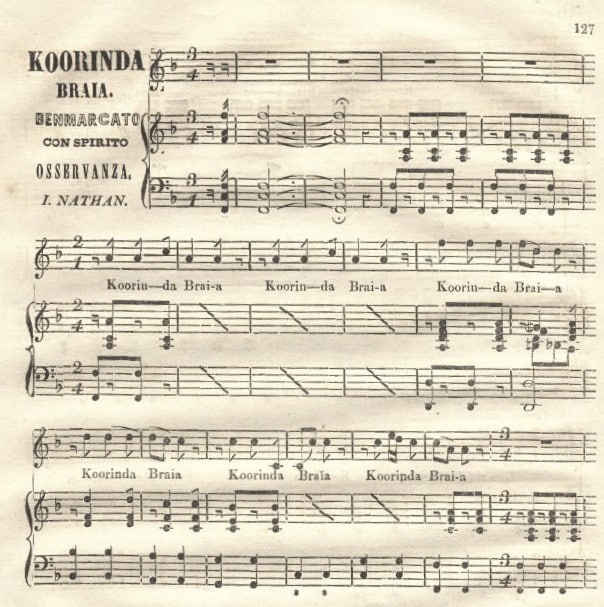 10.1 Koorinda braia (new edition, Nathan 1848-49, 127)