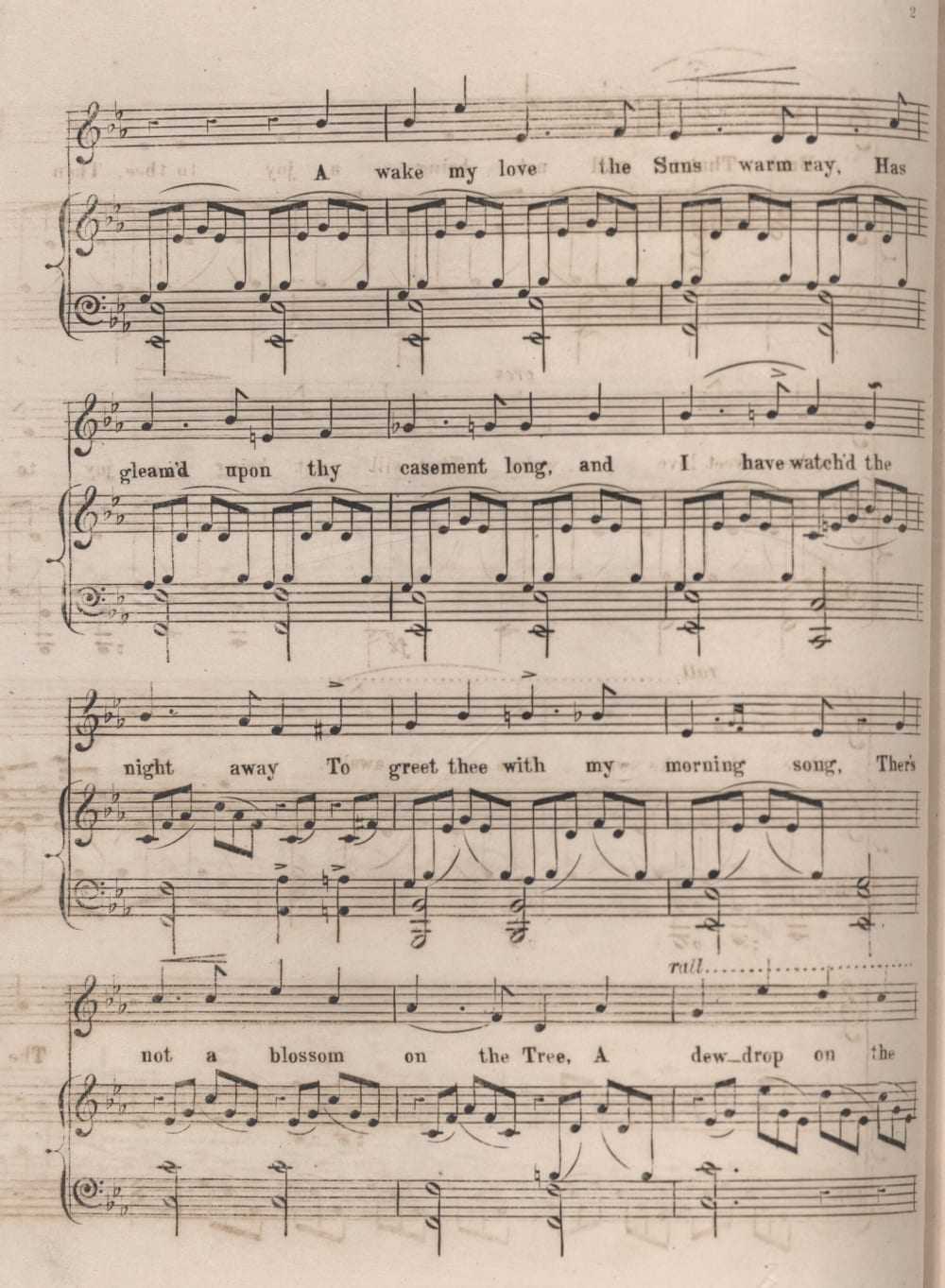 Awake, my love, serenade, by E. Spagnoletti junior (Sydney, 1855)