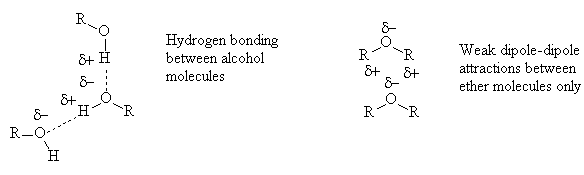 are ethers capable of hydrogen bonding